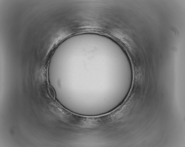 X0000111451357200908031405