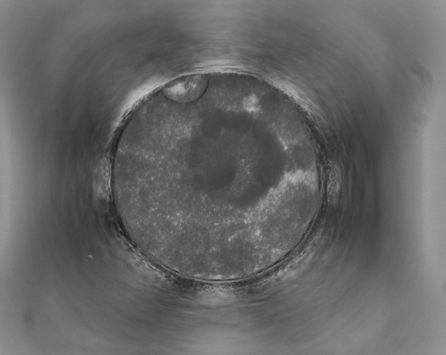 X0000111451358200908031405