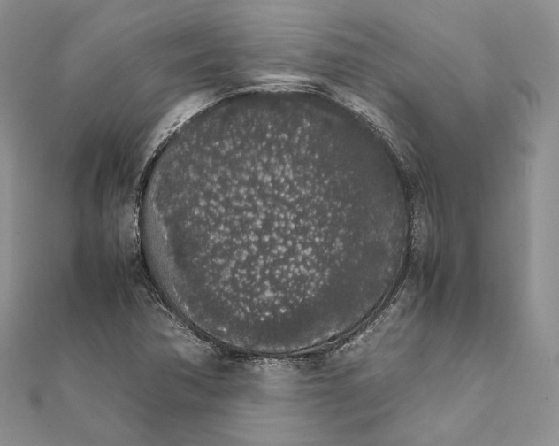 X0000111451362200908031404