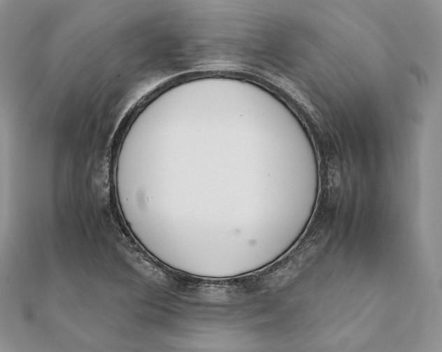 X0000111451364200908031404