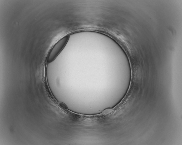 X0000111451365200908031404