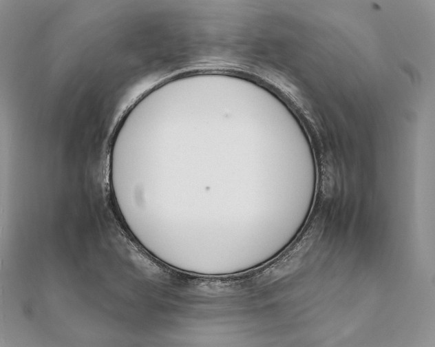 X0000111451366200908031404