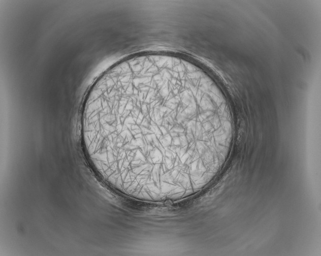 X0000111451367200908031404