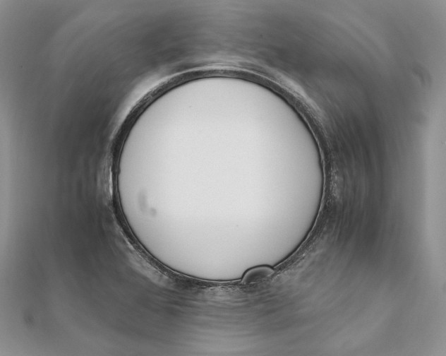 X0000111451368200908031404