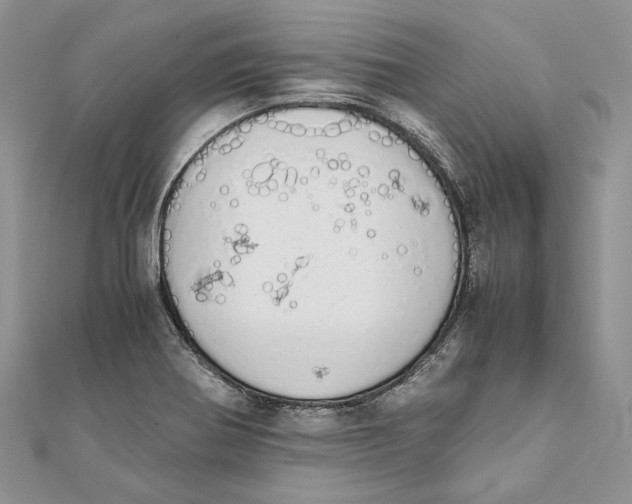 X0000111451370200908031404