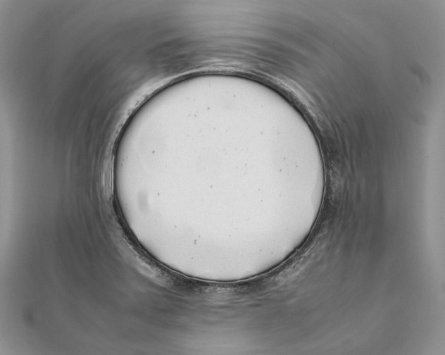 X0000111451371200908031404