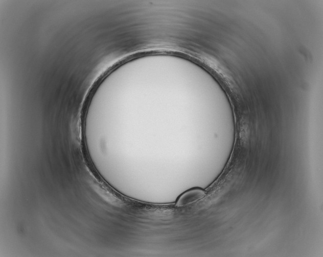 X0000111451372200908031404