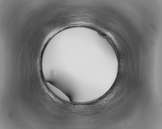 X0000111451373200908031404