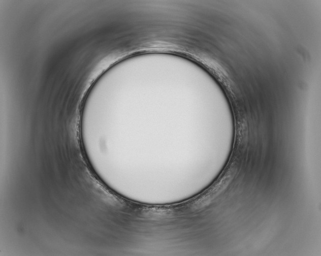 X0000111451374200908031404