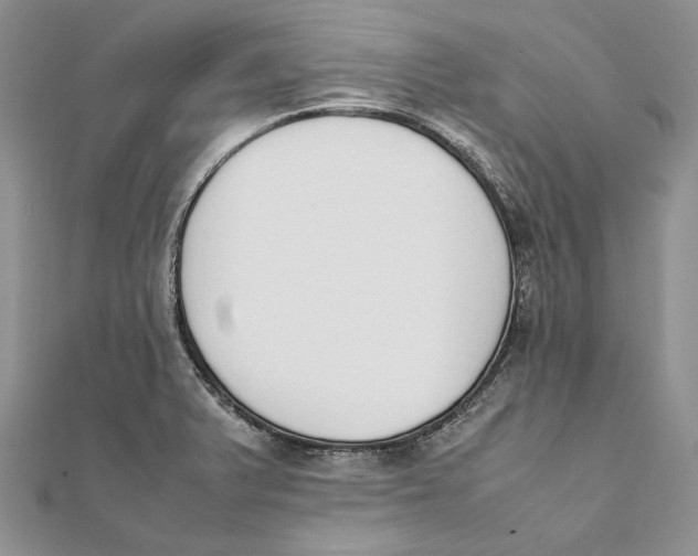 X0000111451375200908031404