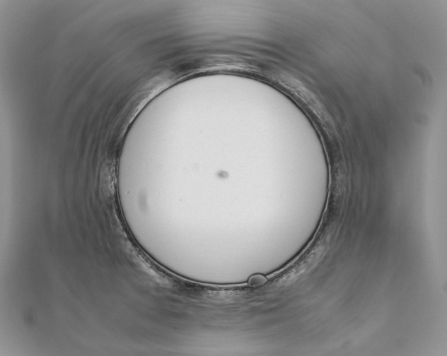 X0000111451377200908031404