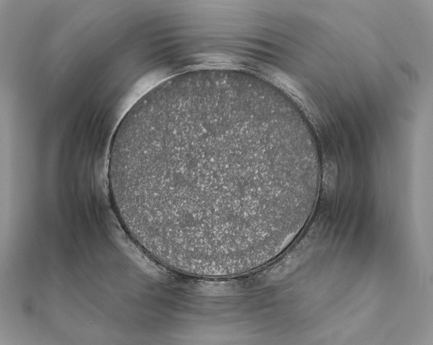 X0000111451378200908031404