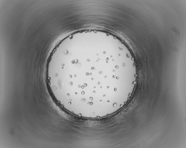 X0000111451379200908031404