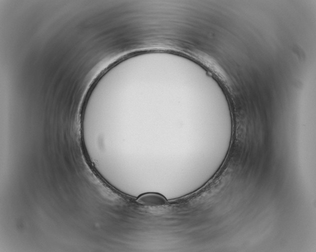 X0000111451380200908031404