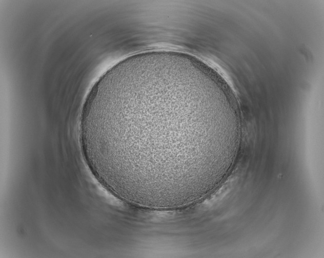 X0000111451381200908031404