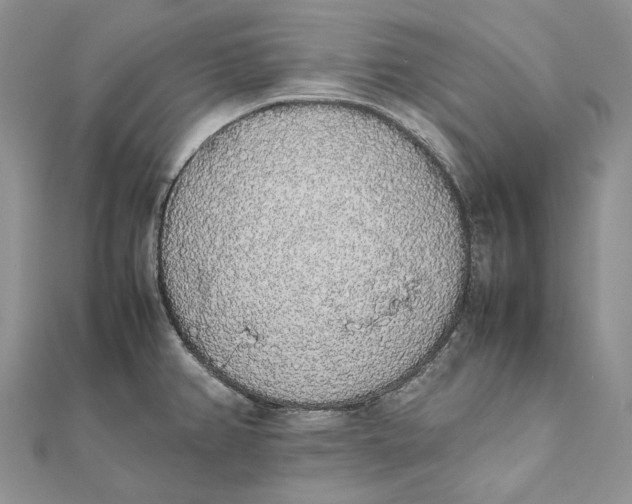 X0000111451382200908031404