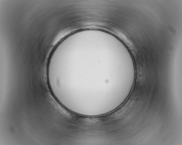 X0000111451384200908031404