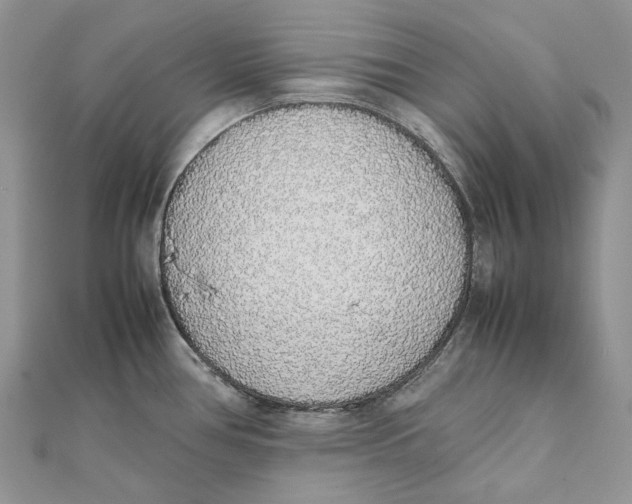 X0000111451386200908031404