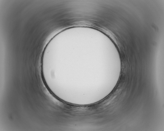 X0000111451387200908031404