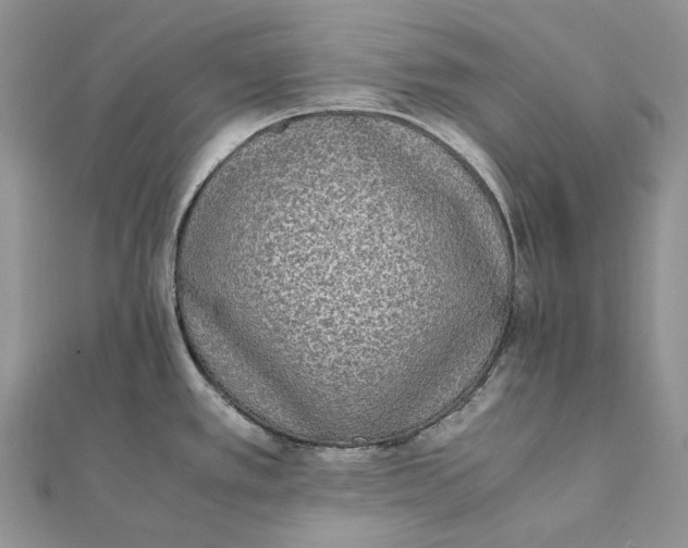 X0000111451389200908031404