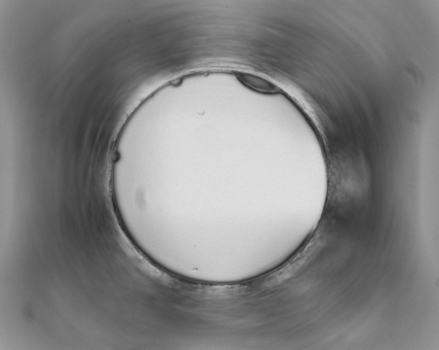 X0000111451390200908031404