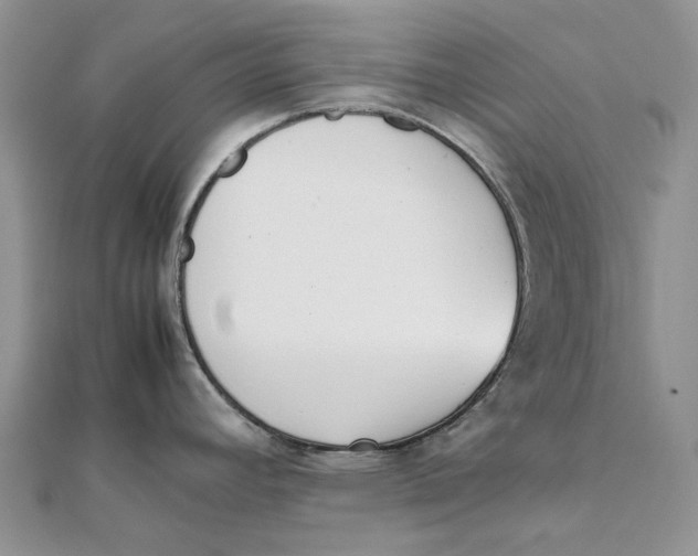 X0000111451392200908031404