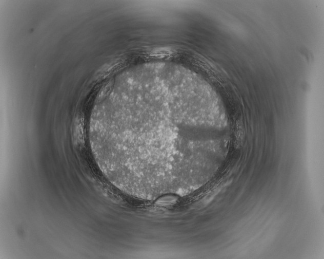 X0000111451394200908031403