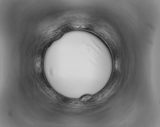 X0000111451396200908031403