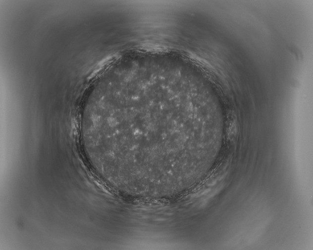 X0000111451397200908031403