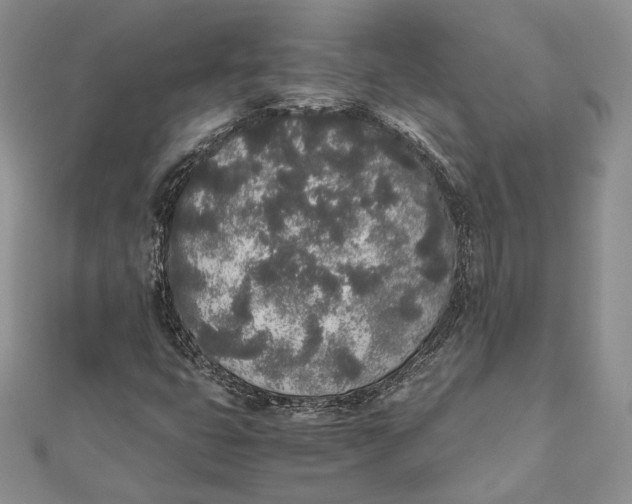 X0000111451399200908031403