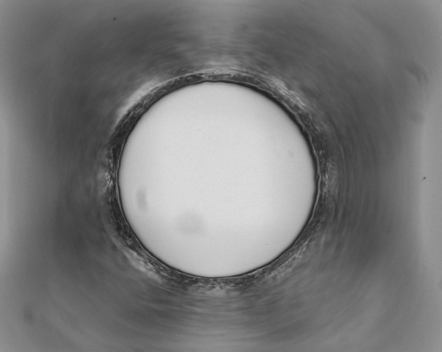 X0000111451400200908031403