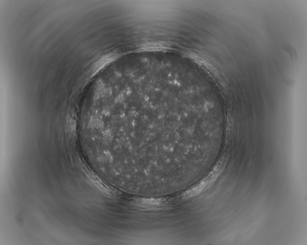 X0000111451401200908031403