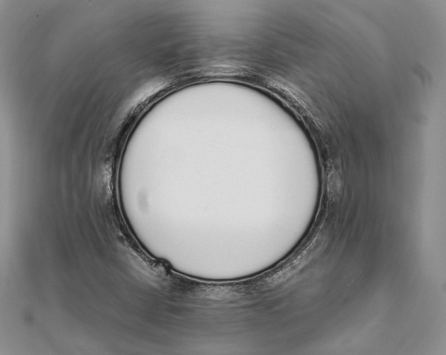 X0000111451402200908031404