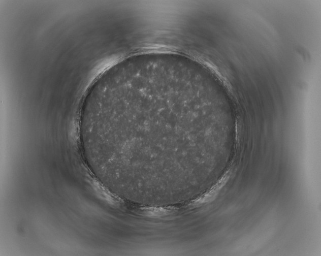X0000111451405200908031404