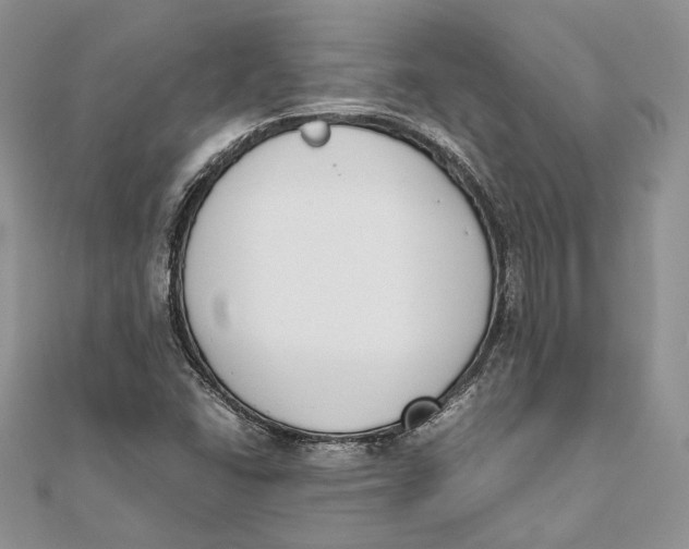 X0000111451406200908031404