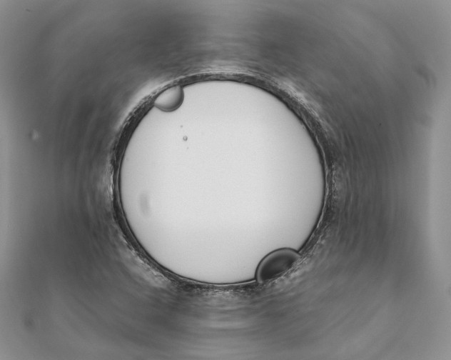 X0000111451408200908031404