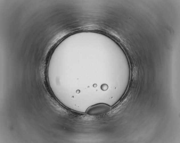 X0000111451410200908031404