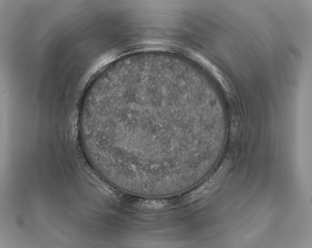 X0000111451411200908031404