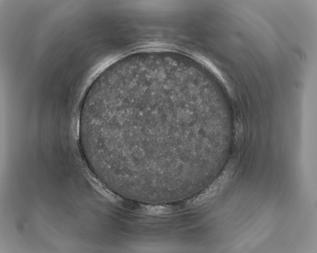 X0000111451413200908031404
