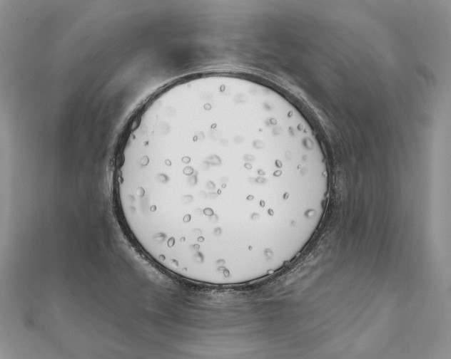 X0000111451416200908031404