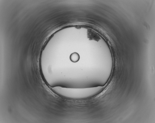 X0000111451417200908031404
