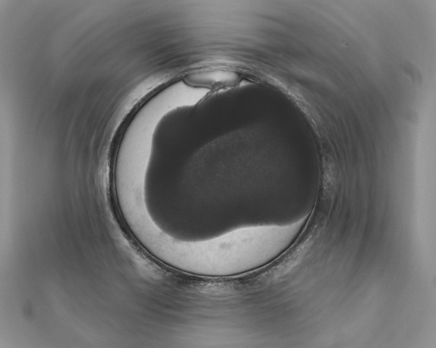 X0000111451418200908031404