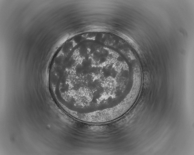 X0000111451419200908031404