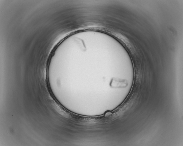 X0000111451420200908031404