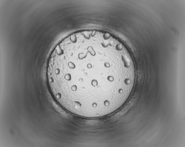 X0000111451421200908031404