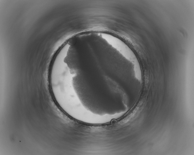 X0000111451422200908031404