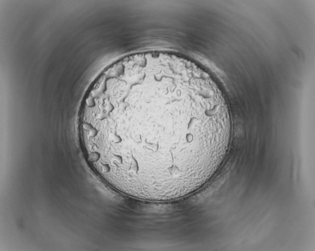 X0000111451423200908031404