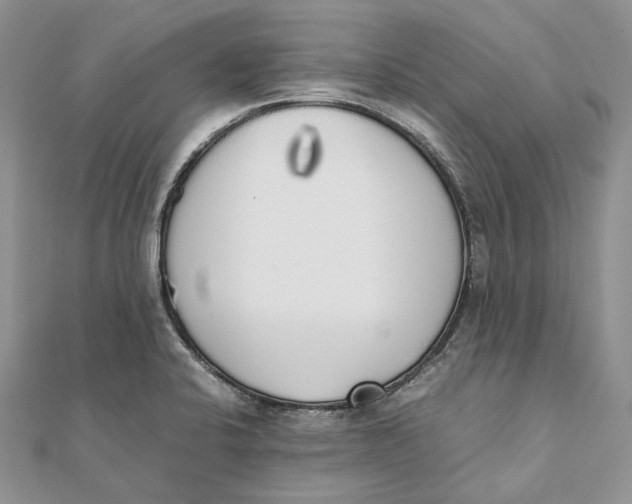 X0000111451424200908031404