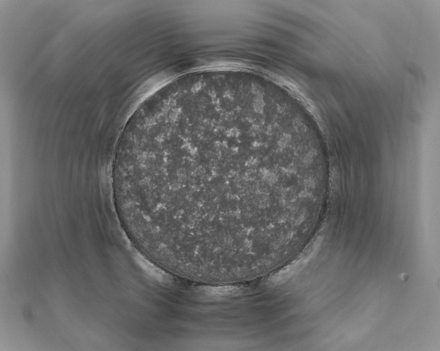 X0000111451425200908031404