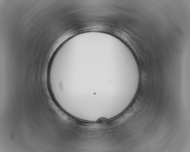 X0000111451426200908031404
